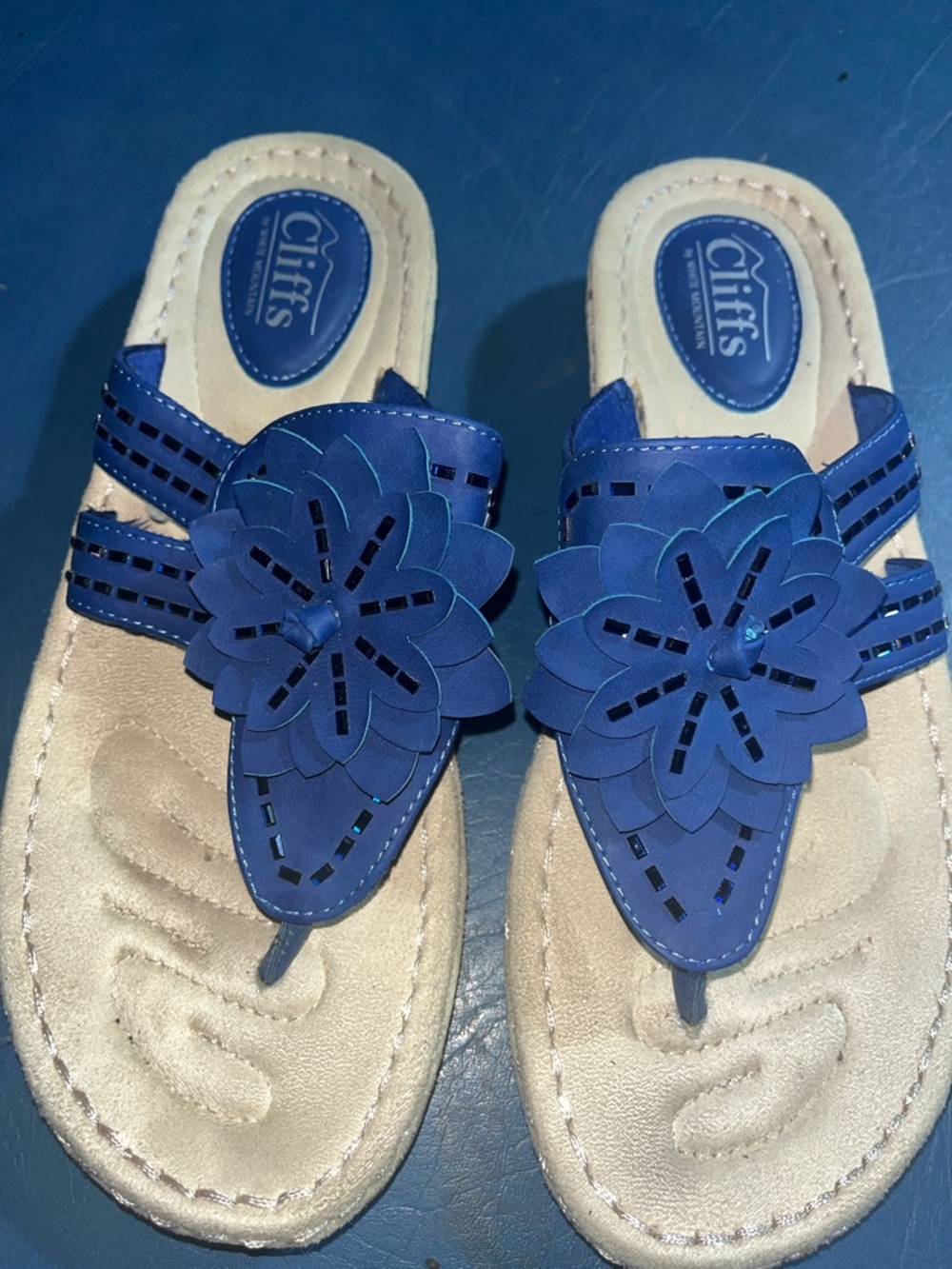 Cliffs Blue Floral Toe-Post Sandals